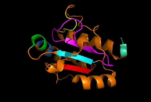 Image of ERp18 with conserved residues.png