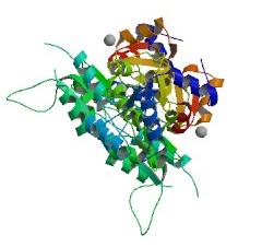 Crystal Structure 2cfsA.jpg