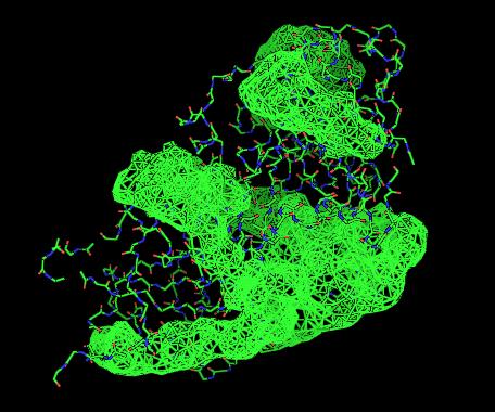 Cleft Analysis PyMOL 2oycA V1.jpg