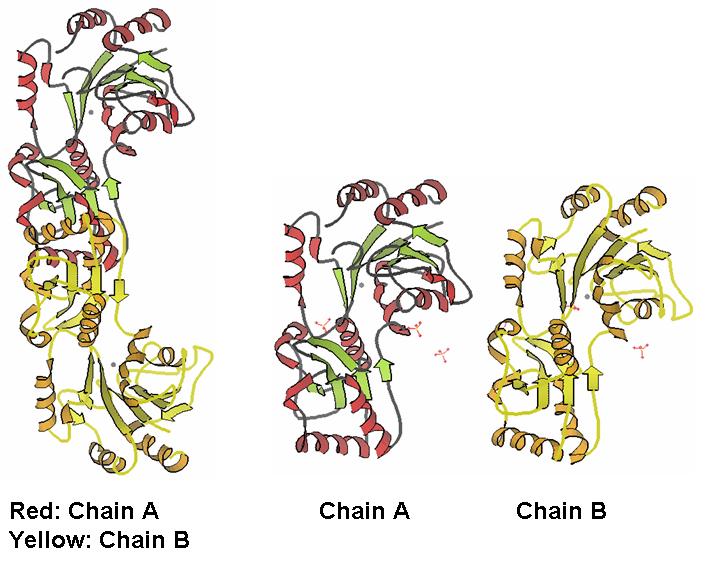 Fig1 chains.jpg