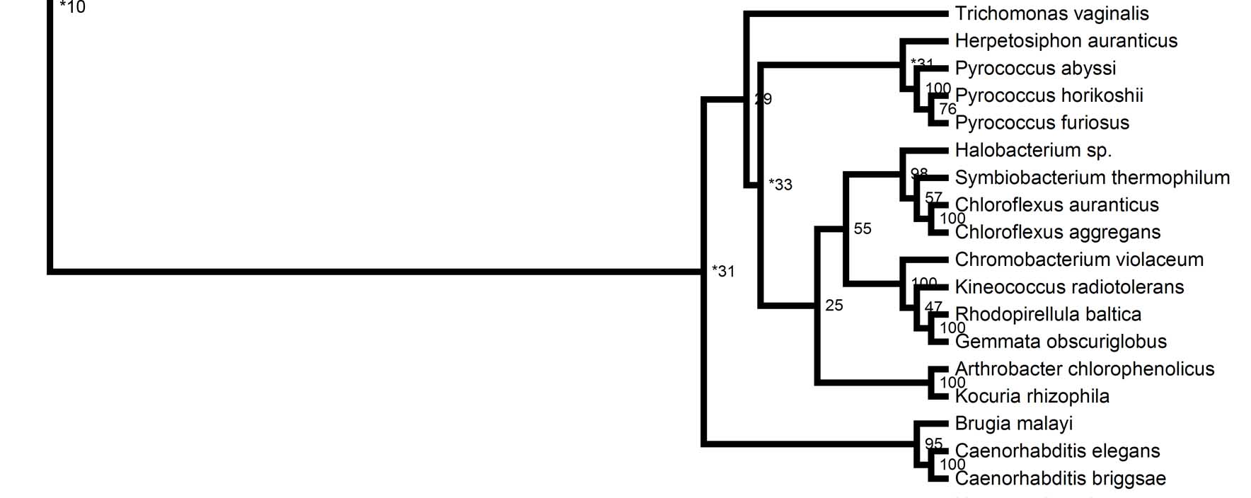 Pyridoxal phosphatase Rectangular Tree discussion1.jpg