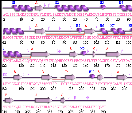 Topology2.gif