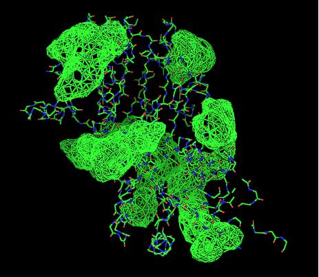 Cleft Analysis PyMOL 2oycA V2.jpg