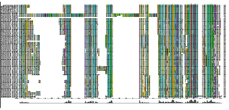 Pyridoxal phosphatase MSA Page 3.jpg