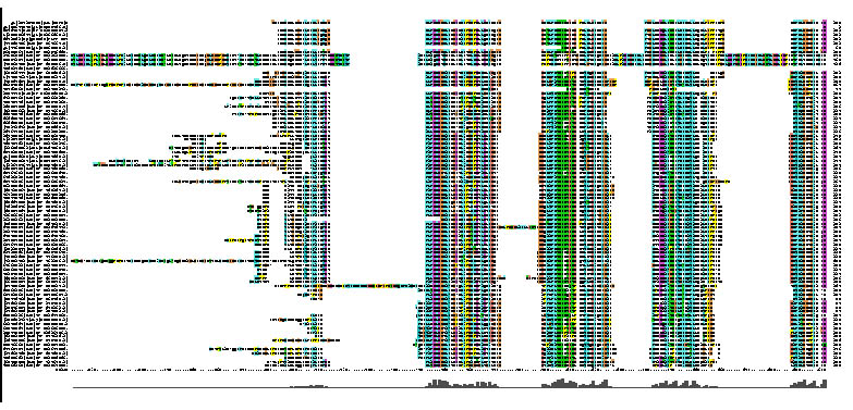 Pyridoxal phosphatase MSA Page 2.jpg