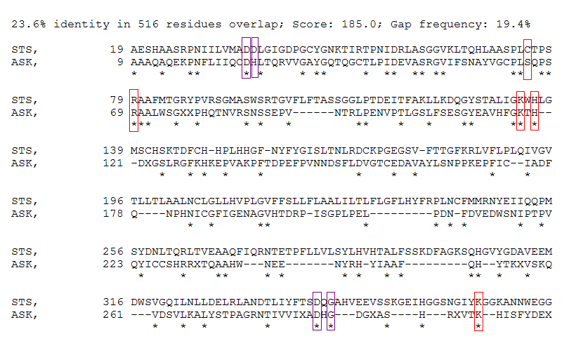 Figure: 5 Two sequence alignment of ASK with STS using 'SIM' server, alignment methode' BLOSUM62' with gap penalty of 5 and gap extension penalty of 2
