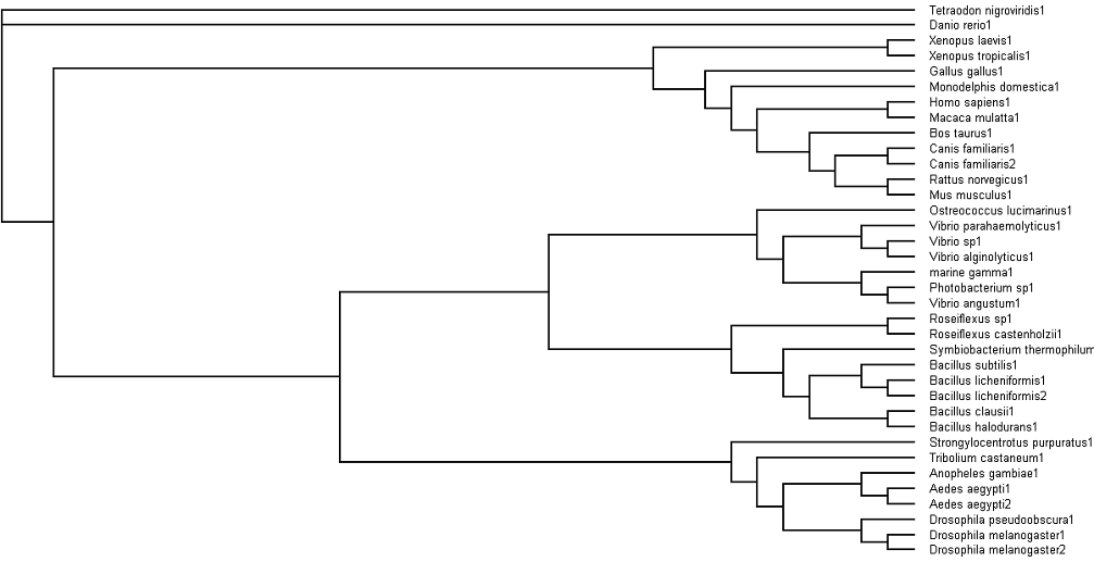 Cladogram View