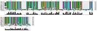 Figure 22: An alignment of eight phosphatases and the target protein. The catalytic site is at 12-20; the aspartate loop is at 142-145 in the target and 173-175 in the phosphatases.