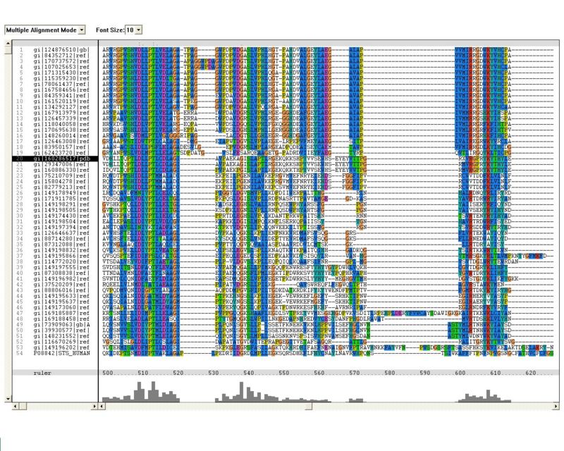 thumbFigure 1.5 Multiple sequence alignment (MSA) of proteins showing sequence homology to arylsulfatse K obtained from ClustalX