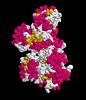 Figure 27: PDB 3fdf protein- molecular surface RasMol ..