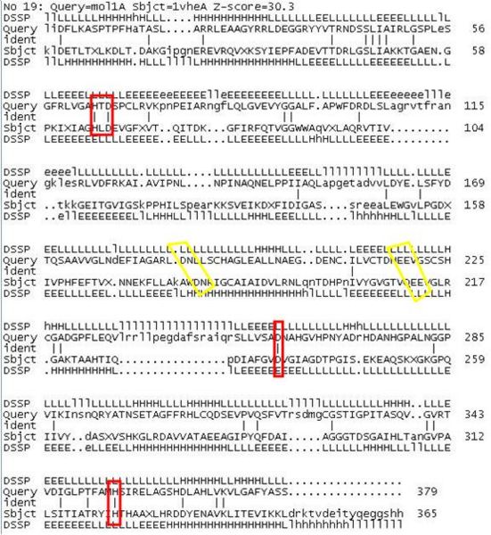 File:Comparison 2ijz and 1vhe sequence.JPG