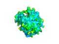 The surface view of the 2nxf protein