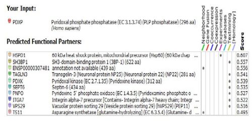 Fig 19. Diagram on protein-protein interaction of 2cfs_A.