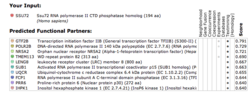 Figure 18: Results for human Ssu72 protein in the STRING database.